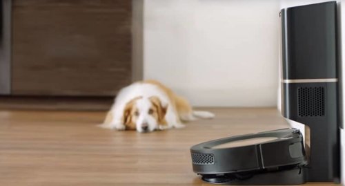 Roomba et animaux Roomba et animaux