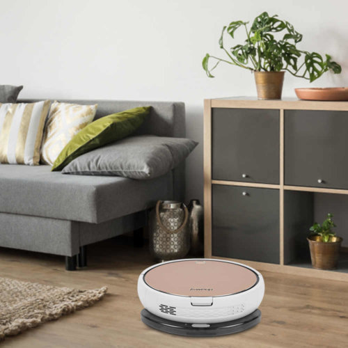 Nettoyage par robot Nettoyage par robot