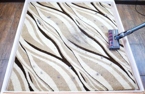 Nettoyage du tapis Nettoyage du tapis