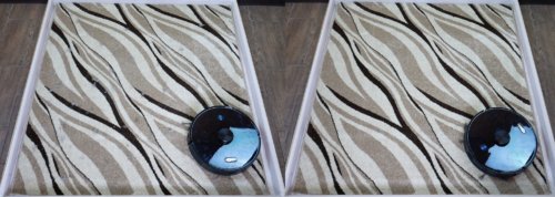 Nettoyage du tapis