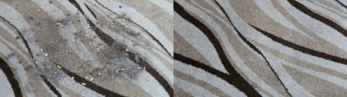 Nettoyage du tapis