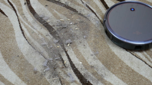 Nettoyage du tapis