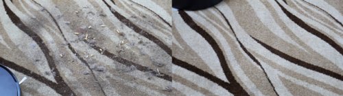 Nettoyage du tapis