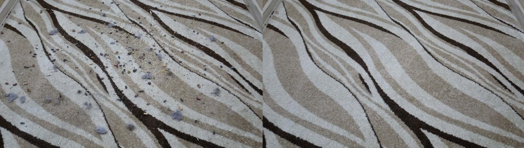 Nettoyage de tapis