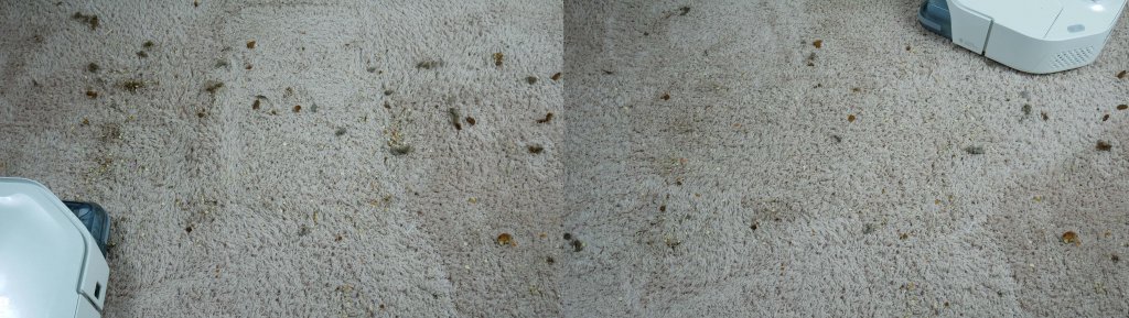 Nettoyage du tapis