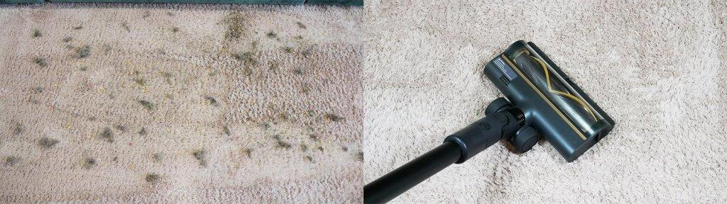 Dreame R10 Pro : Nettoyage de tapis