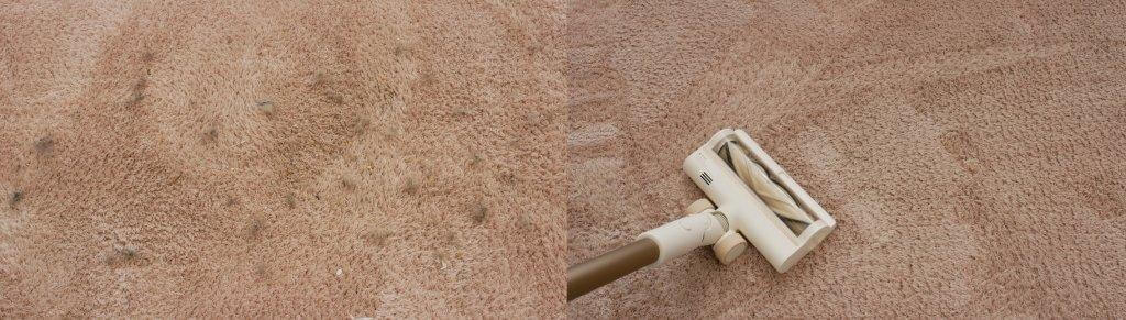 Dreame R10 : Nettoyage de tapis