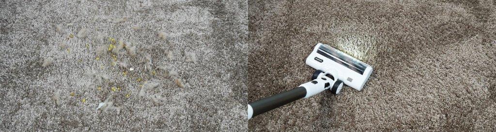 Clever&Clean HV-550 Pro : Nettoyage de tapis à poils moyens