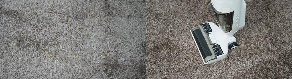 Neatsvor T35 : Nettoyage des tapis à poils moyens