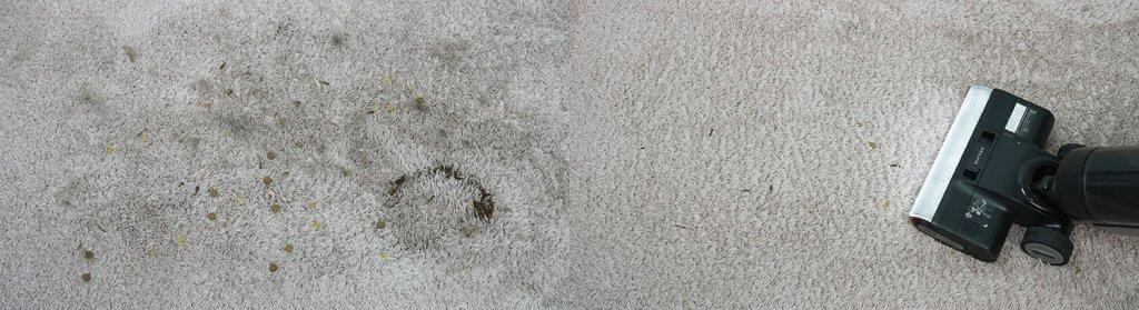 Dreame H13 Pro : Nettoyage de tapis à poils moyens