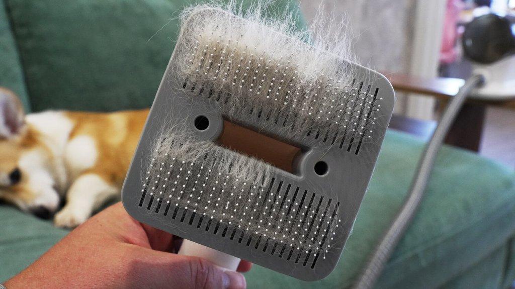 Genio Pet i50 : Accessoire de toilettage pour animaux