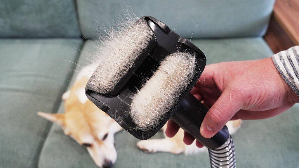 Dreame Z30 AquaCycle : accessoire de toilettage pour animaux de compagnie