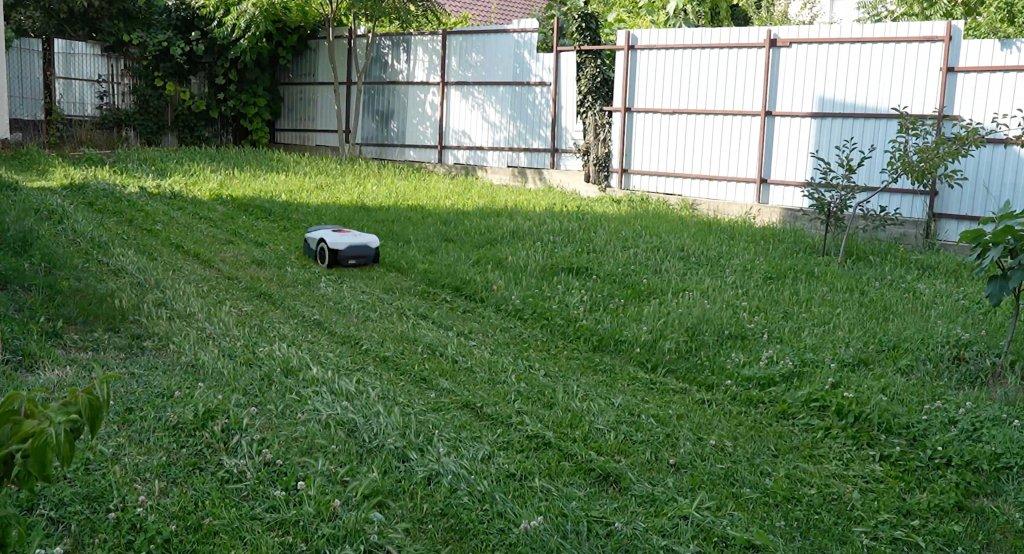 Anthbot Genie 1000 : Tonte de la pelouse